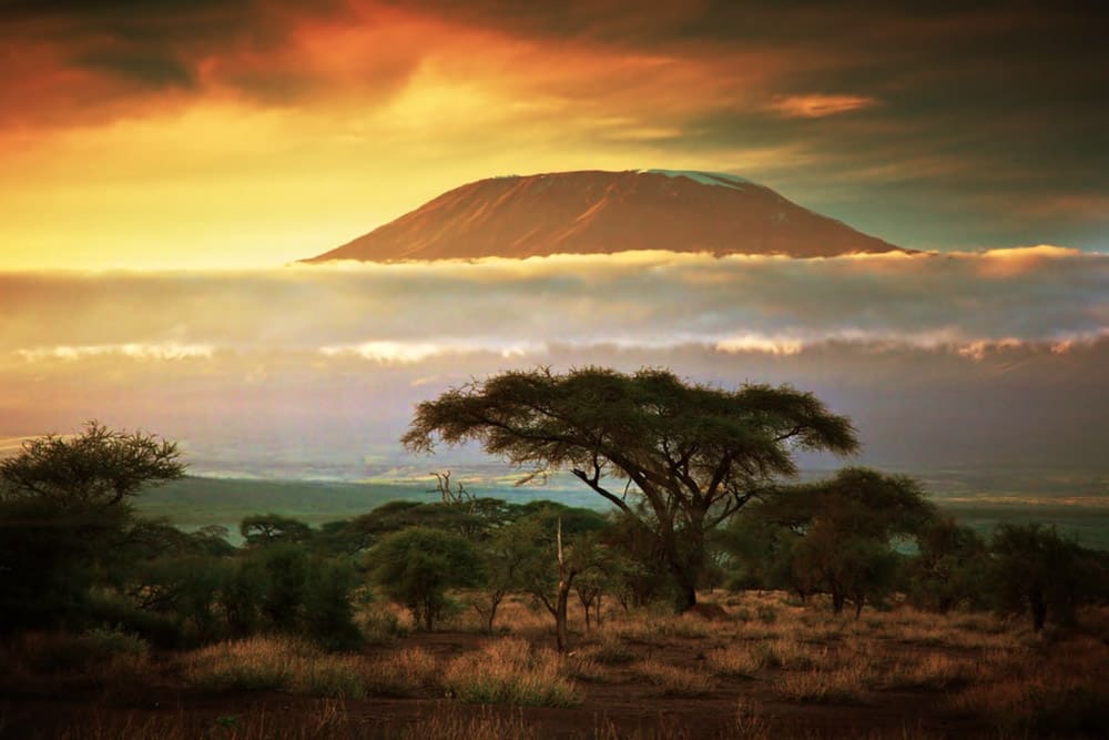 Kilimanjaro Cable Car